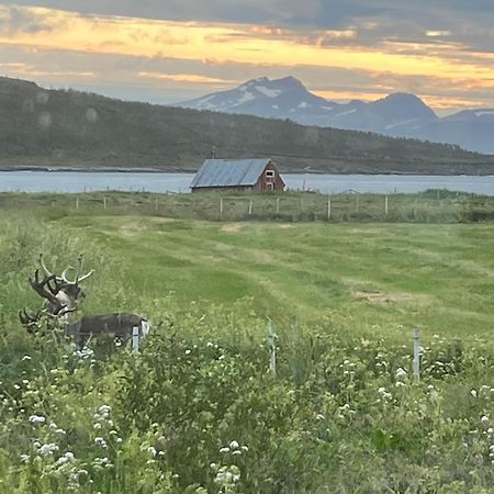 Hos Laura & Valdemar Villa Nord-Lenangen Buitenkant foto