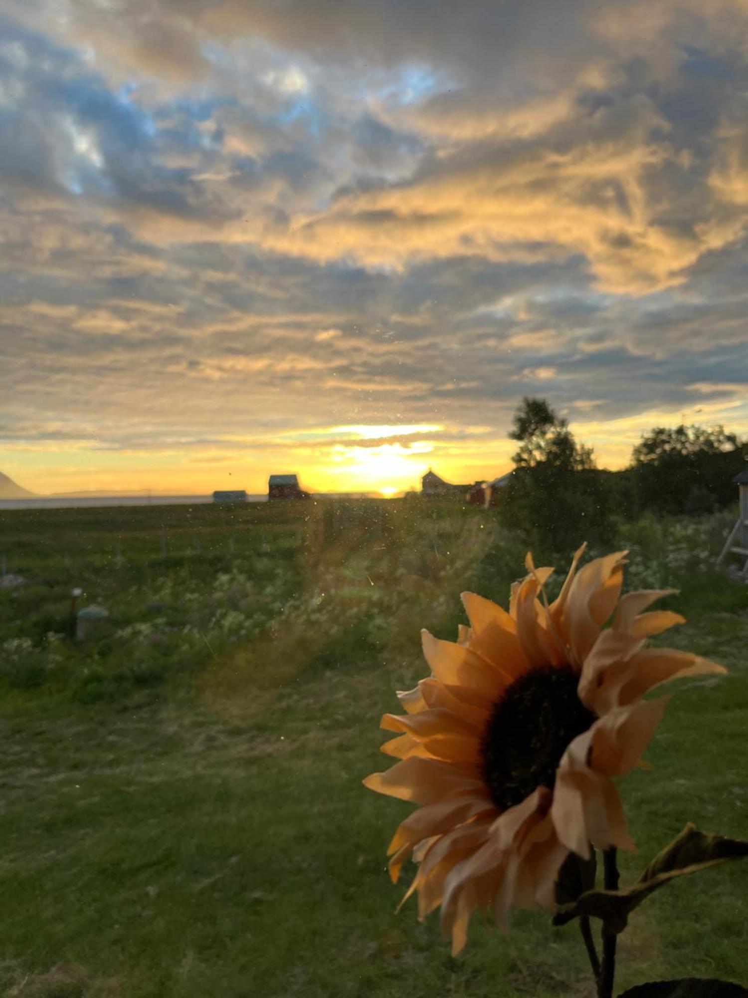 Hos Laura & Valdemar Villa Nord-Lenangen Buitenkant foto