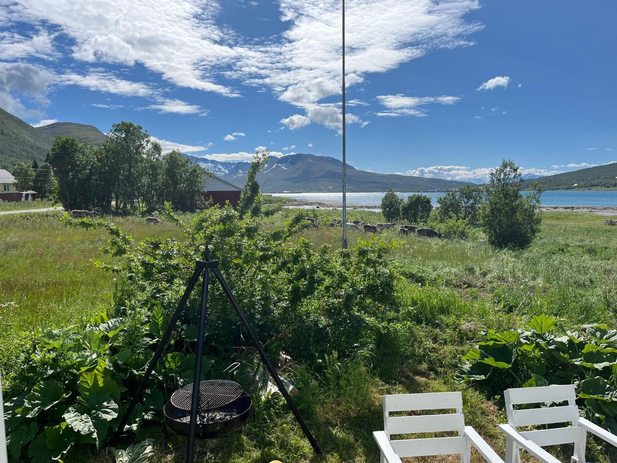 Hos Laura & Valdemar Villa Nord-Lenangen Buitenkant foto